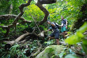 BIB: 
                            <button type="button" onclick="openModal(19407809)" class="btn btn-primary btn-sm float-right btn-popup" data-toggle="modal" data-target=".modal-high-quality">
                        <i class="fas fa-shopping-cart"></i> Add to Cart
                    </button>
                                            <button type="button" onclick="isThisMe(19407809, true)" class="btn btn-success btn-sm float-right btn-popup btn-isme hidden" data-toggle="tooltip" data-placement="bottom" title="นี่คือรูปของคุณใช่ไหม คลิกที่นี่เพื่อเอาเข้าอัลบั้ม">
                        <i class="fas fa-plus"></i> Add to album
                    </button>
                    <button type="button" onclick="isThisMe(19407809, false)" class="btn btn-warning btn-sm float-right btn-popup btn-isnotme hidden">
                        <i class="fas fa-ban"></i> Remove from album
                    </button>